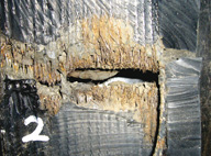 steel cord breakage